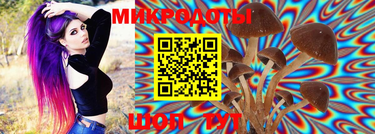 Псилоцибиновые грибы мухоморы Королёв
