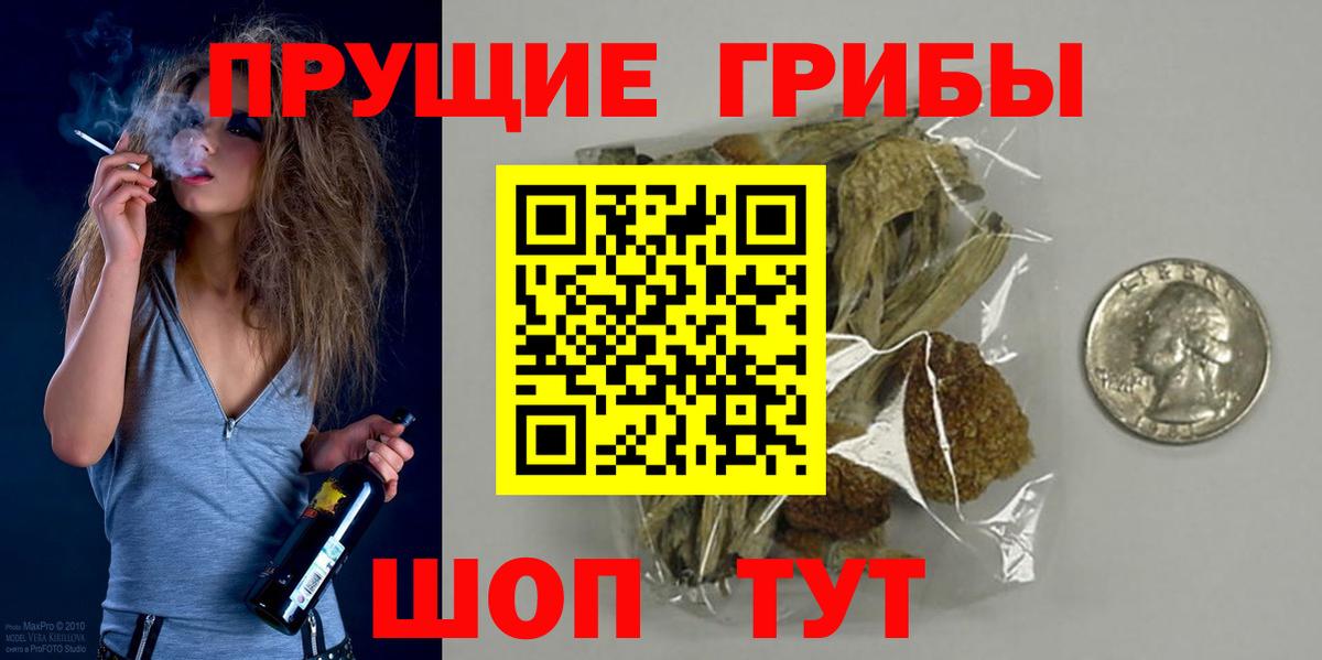 дарнет шоп  Вход с VPN  Королёв  Галлюциногенные грибы Psilocybe 